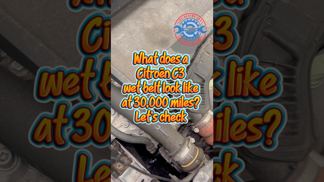 Checking the Wet Belt on a Citroën C3 at 30,000 Miles… Is It Already Worn? 👀🔧 #citroen #citroenc3