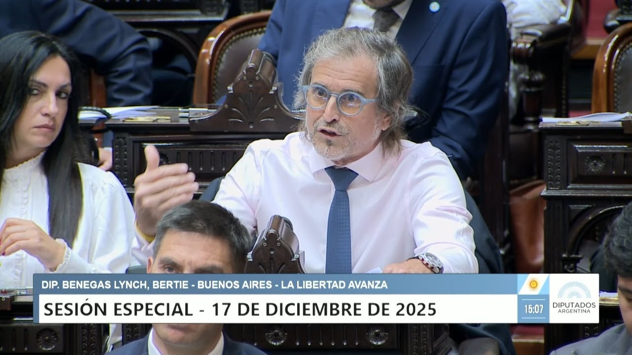 Diputado Benegas Lynch, Bertie - LLA - Sesión 17-12-2025 - PL