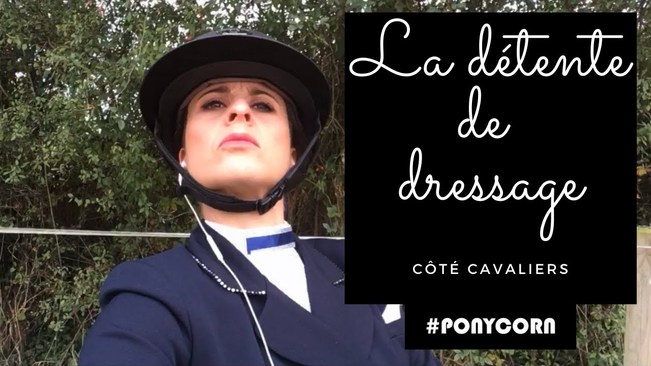 #ponycorn 🐴| La détente de dressage côté cavalier
