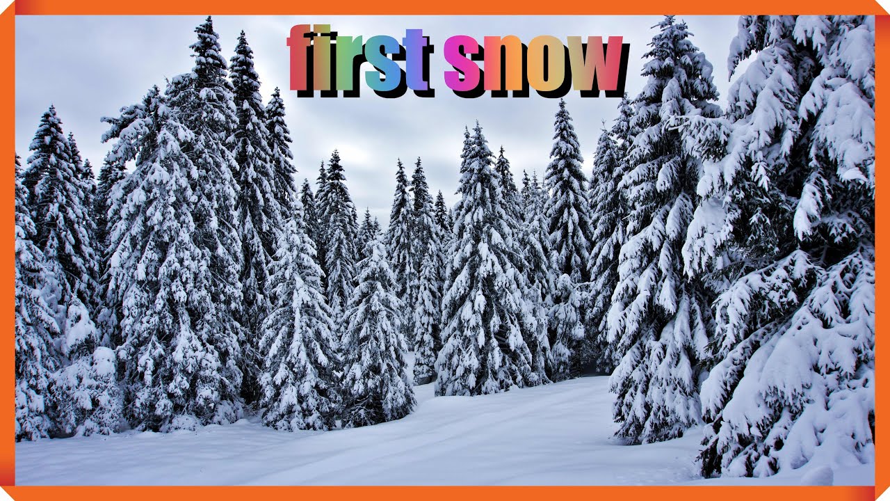 ciaspolata sul Monte Campolongo // Altopiano di Asiago