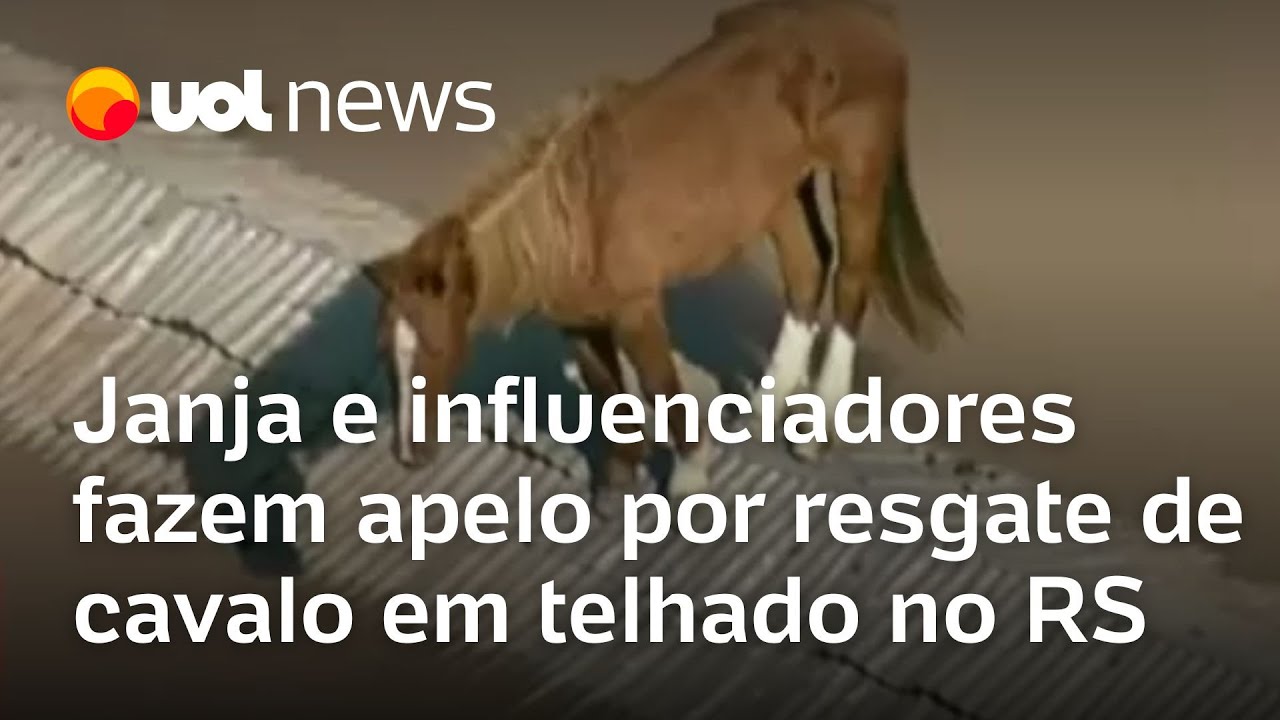 Cavalo ilhado no RS: Janja e influenciadores fazem apelo por resgate de animal em telhado