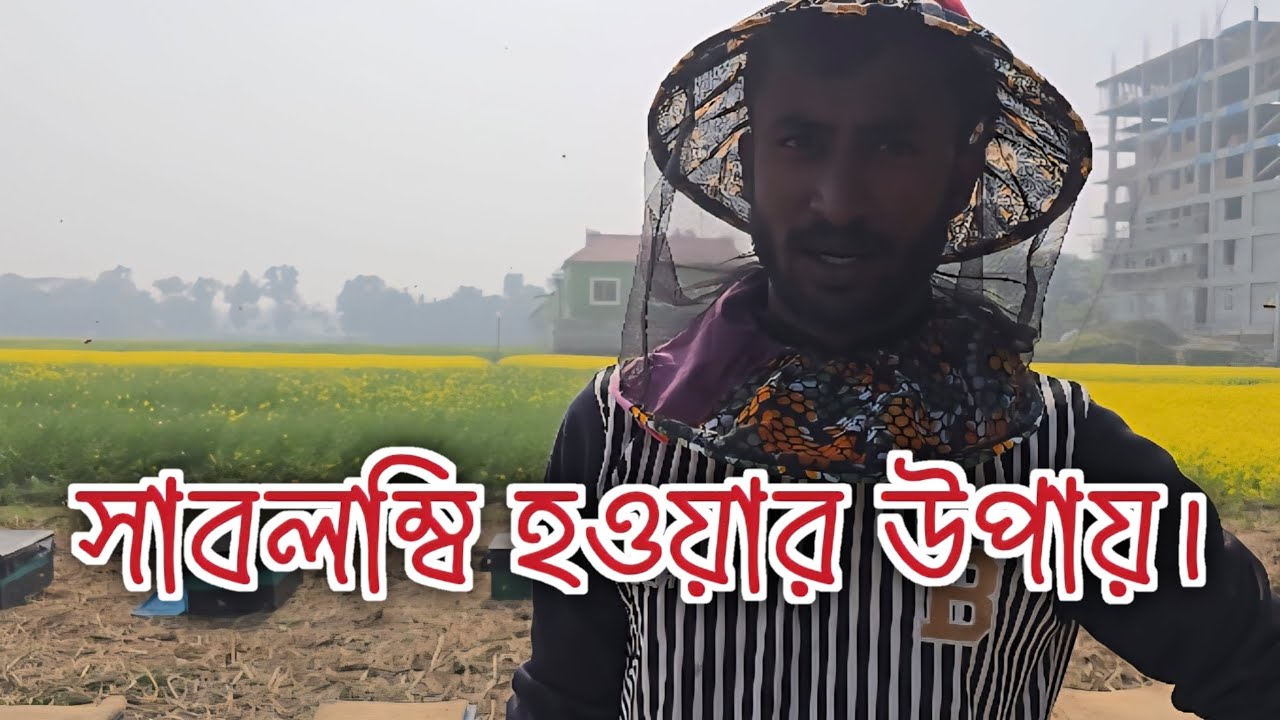 সাবলম্বি হওয়ার উপায়। মধু চাষের প্রক্রিয়া।  to self employment. Sabolombi howar upay. মৌমাছি পালন। 