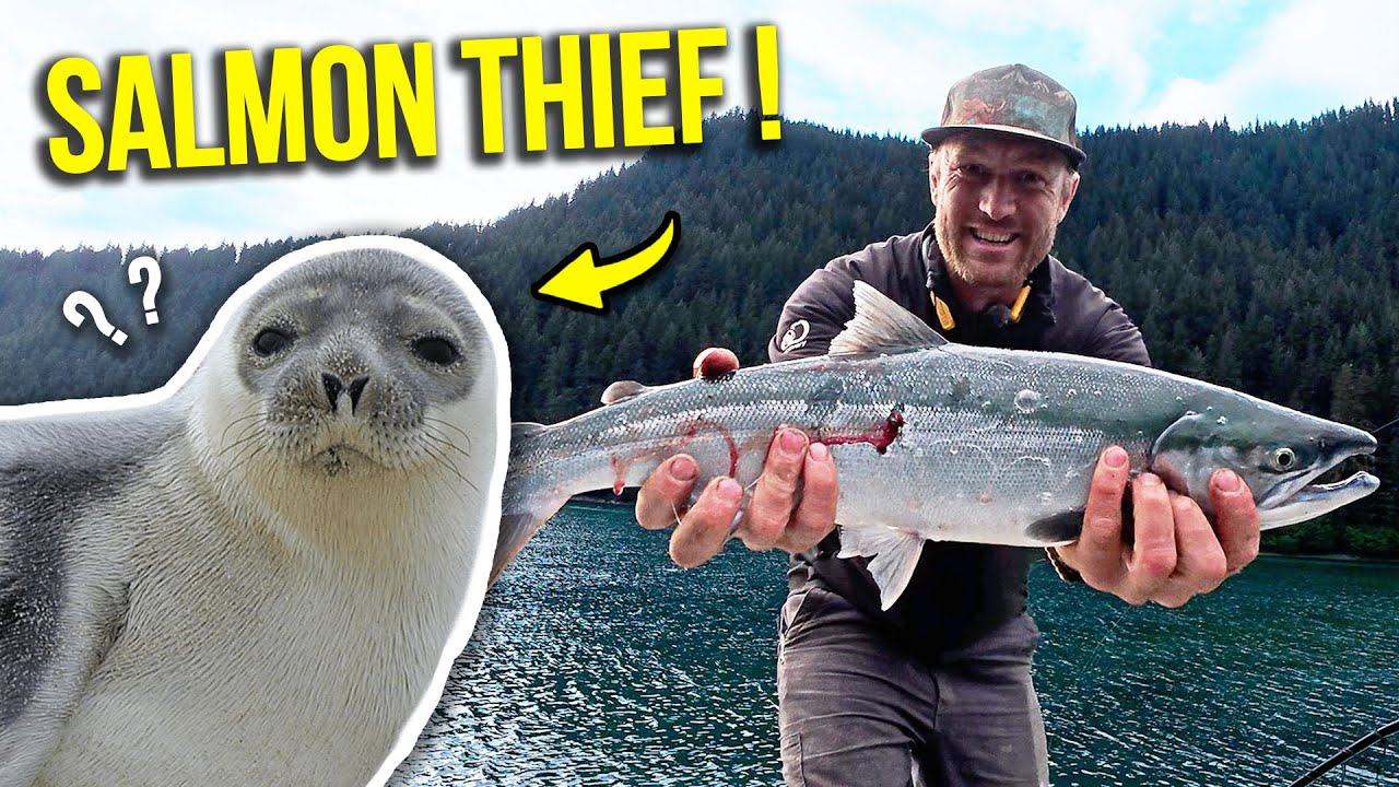 A SEAL STOLE my Salmon! Alaska fishing with 700 HP  HONDA!