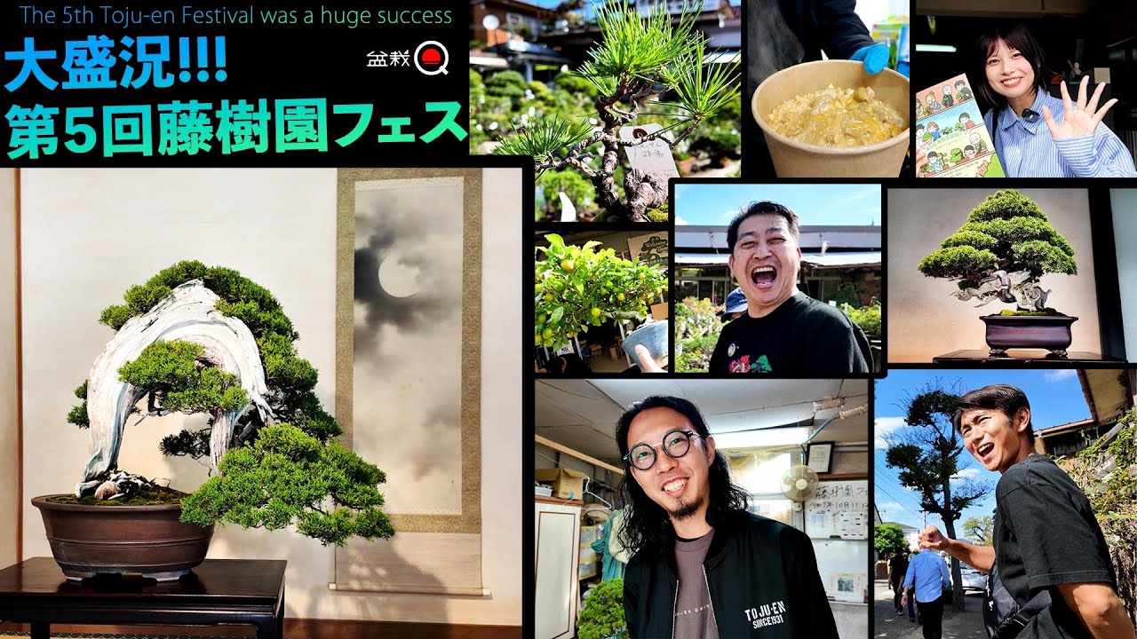 Репортаж с невероятно успешного 5-го фестиваля глицинии «Тодзю-эн»! [Bonsai Q]