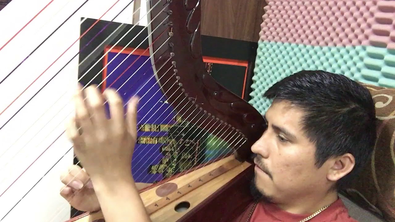 Arpita Mia Alicia Delgado cover | Huilver Pre Arpista Profesional CLASES de ARPA Cel 970475210