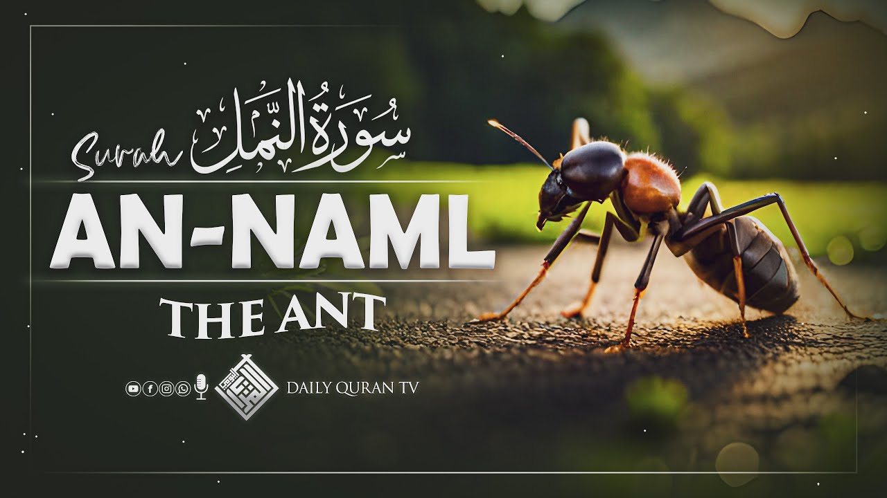 Surah Naml | Story of Prophet Sulaiman (AS) | Full Quran Recitation | Daily Quran TV