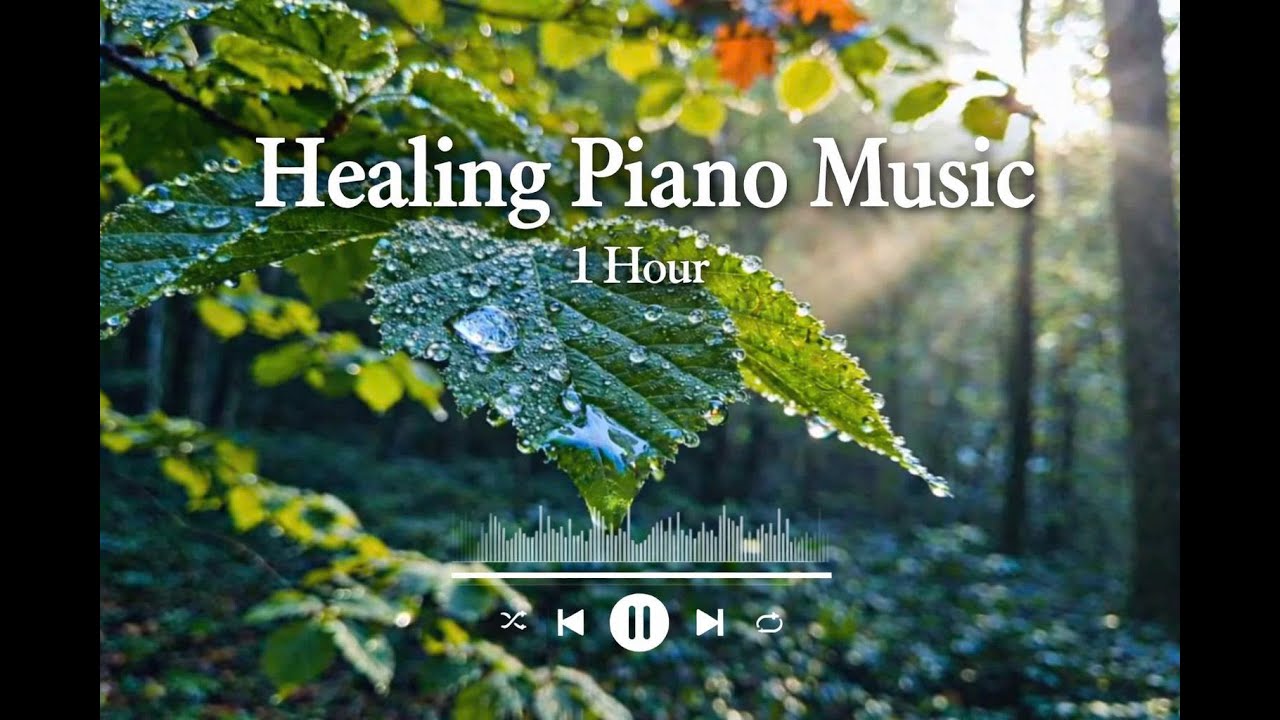 Peaceful Piano Music 🎹 Healing Your Soul | Part 2