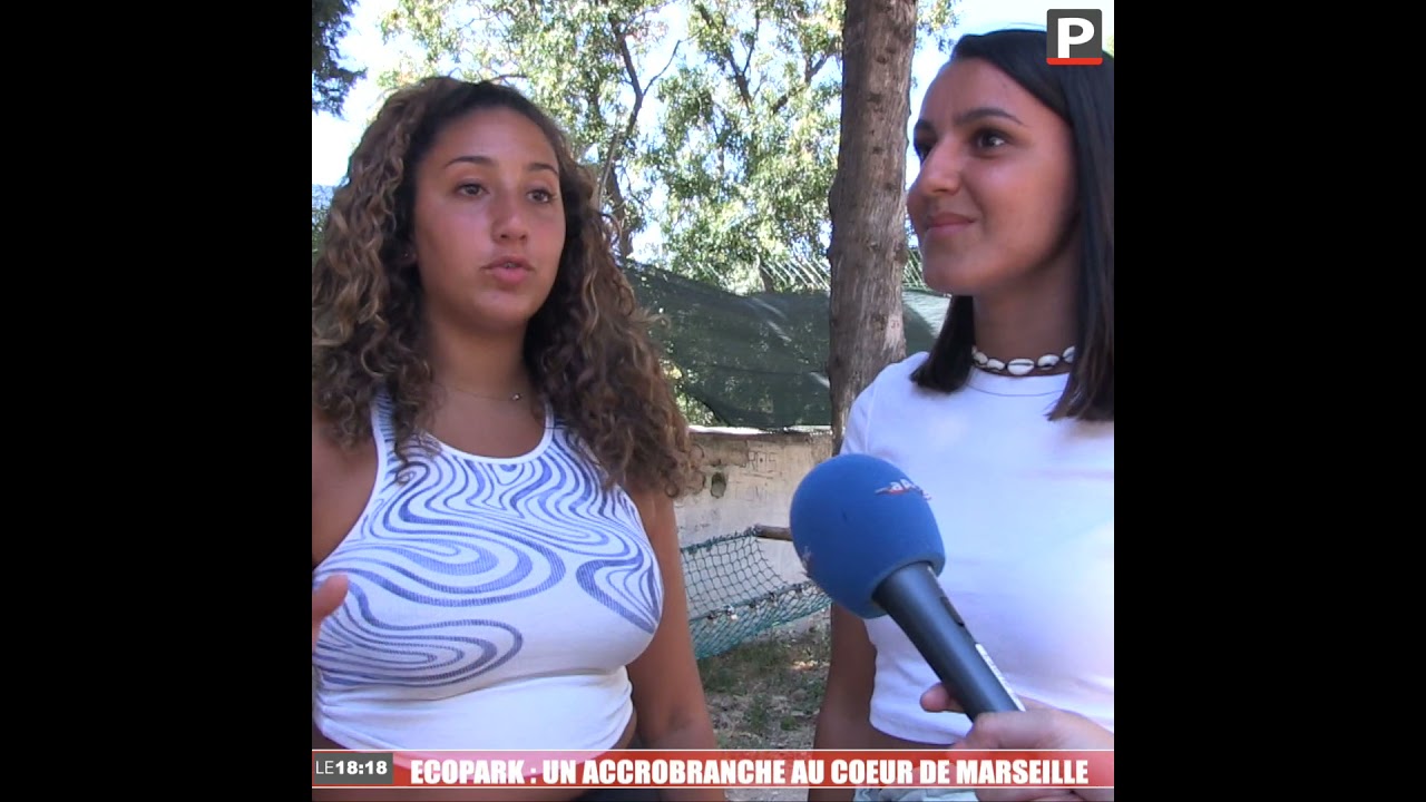 ECOPARK : Un accrobranche au coeur de Marseille