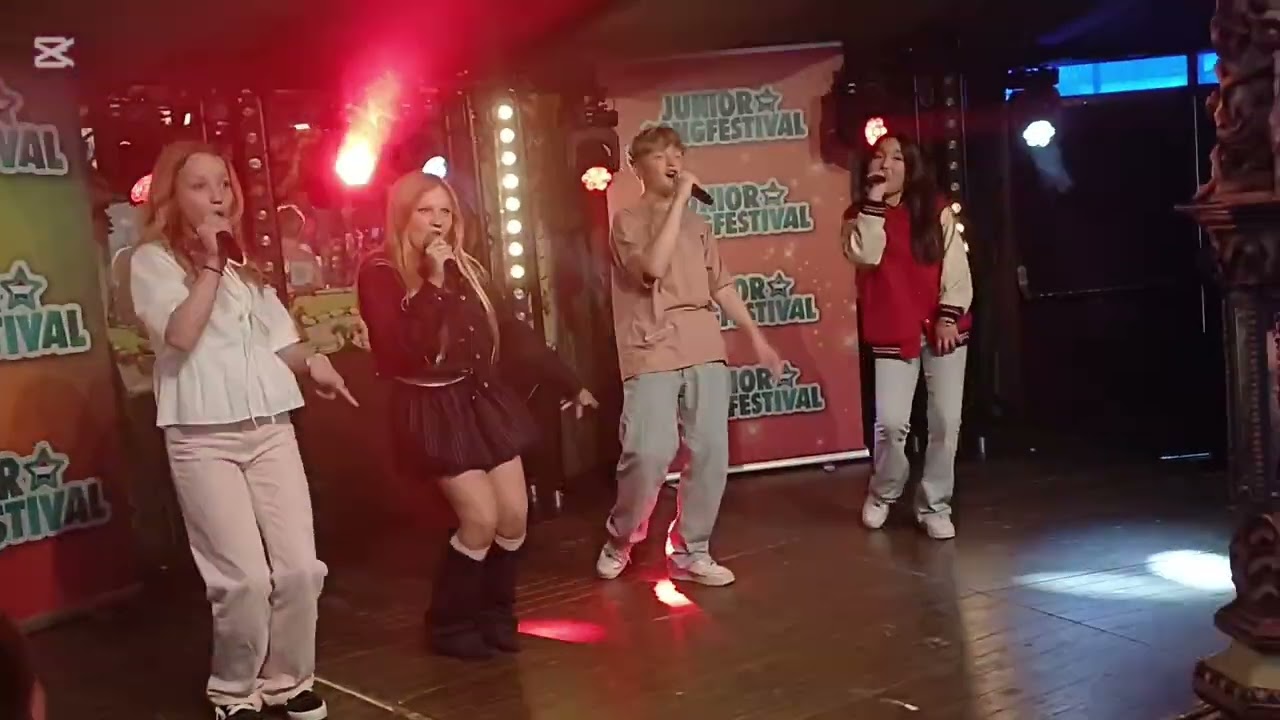 Jsf fandag vlog 2025