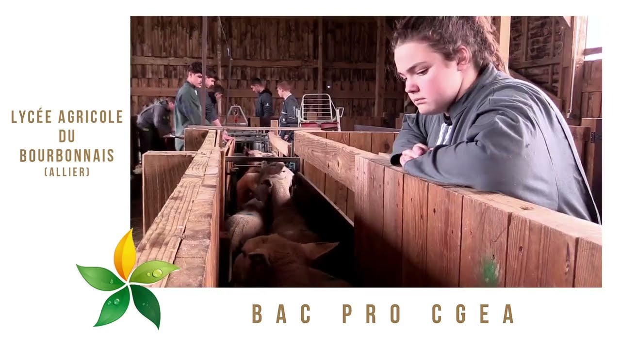 Bac Pro CGEA au Lycée Agricole du Bourbonnais