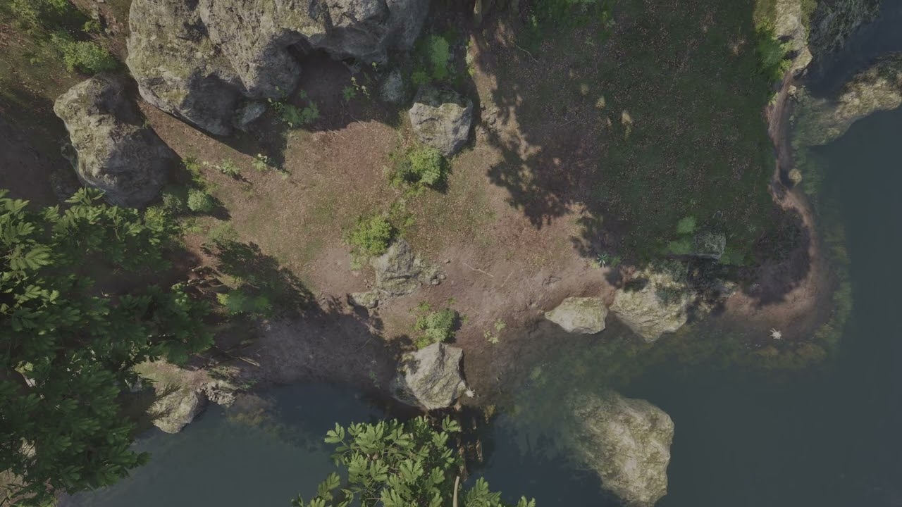 Wetlands - Sunny Coast