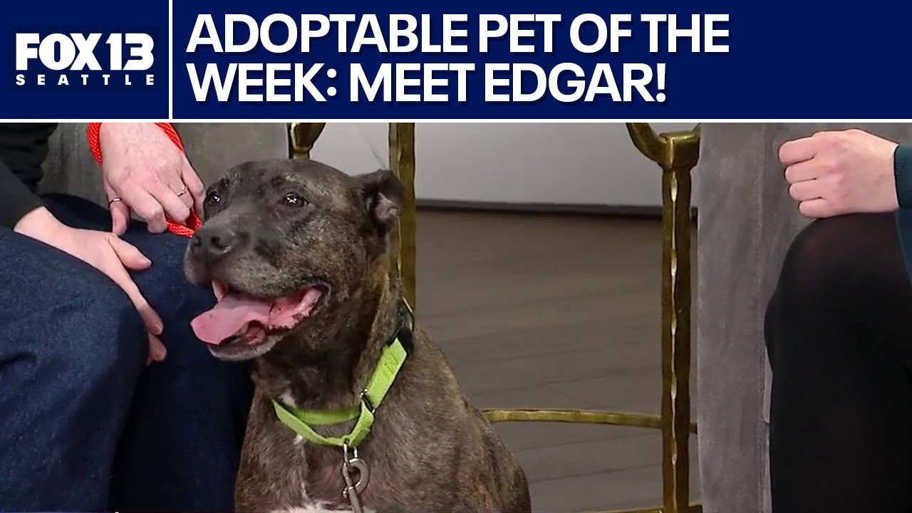 Pet of the Week: Edgar