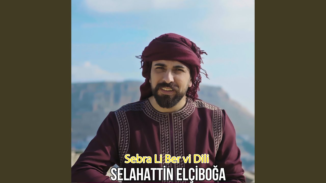 Sebra Li Ber vi Dili