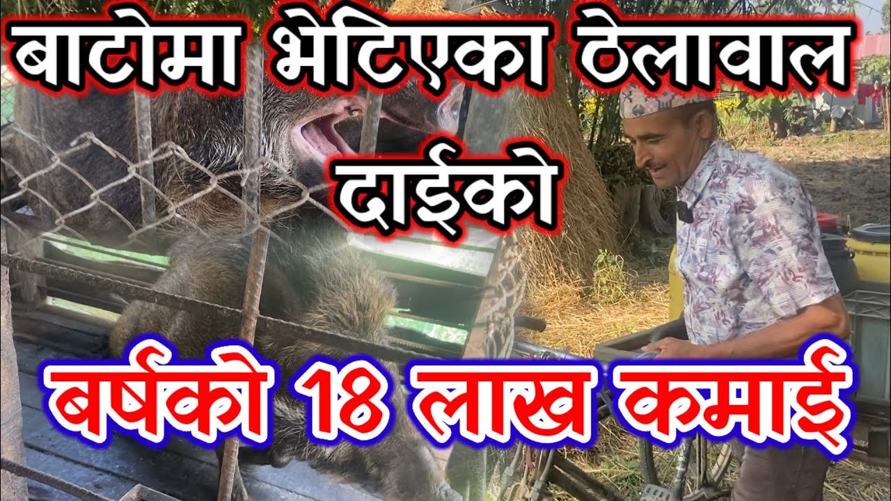 बाटोमा भेटिएका ठेलावाला दाजुको वास्तविकता यस्तो!