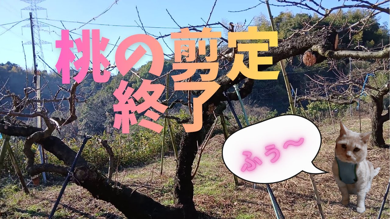 93 剪定続く・・・終わり