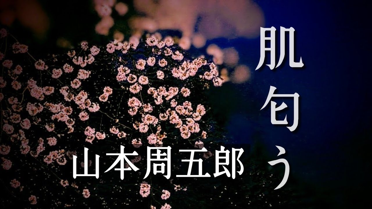 【朗読】肌匂う【山本周五郎】
