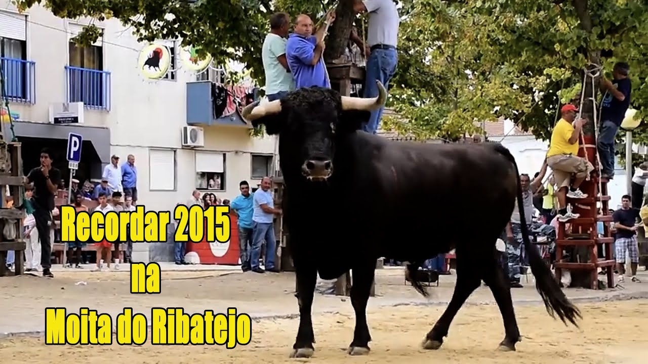 Rever as Largadas na Moita em 2015