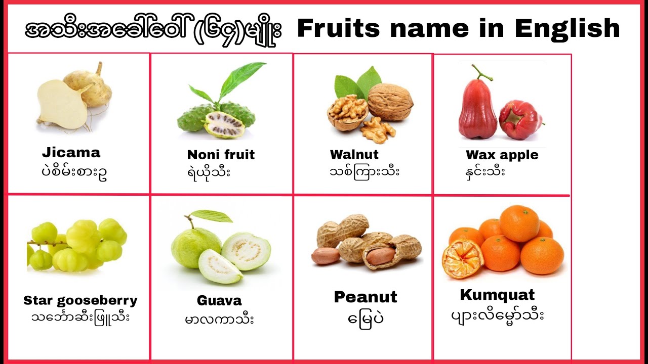 Fruits name in English||အတွေ့ရများသောအသီး(၆၄)မျိုး