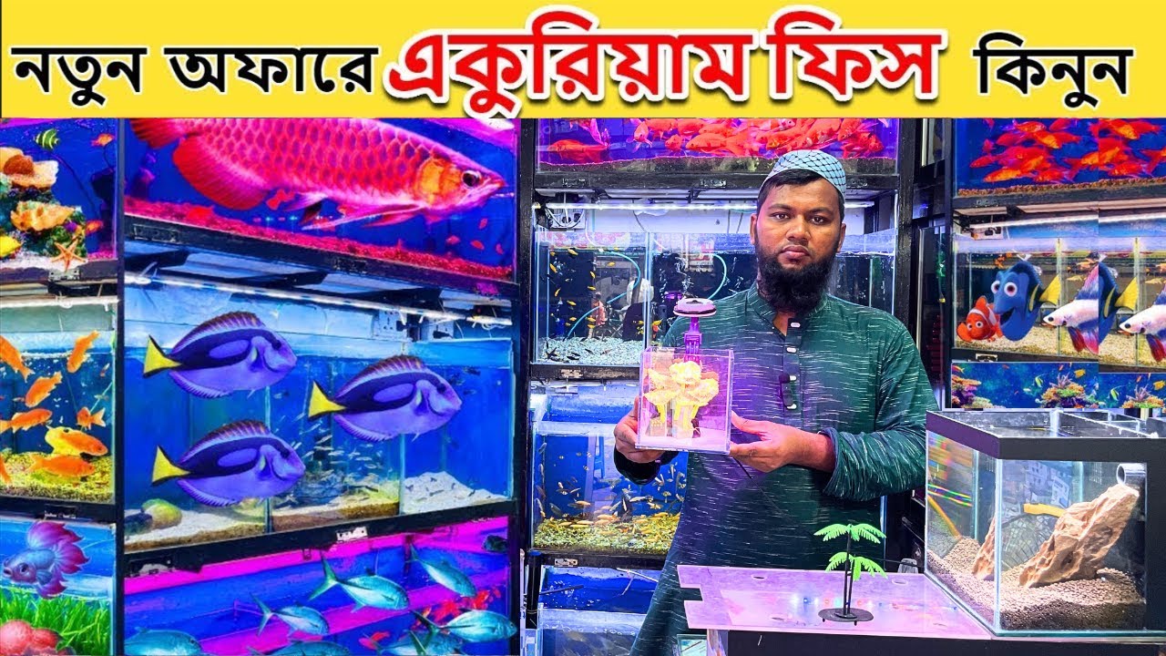 এ্যাকুরিয়ামের মাছ কিনুন Aquarium Fish Price In Bangladesh 2024 Aquarium Fish in BD