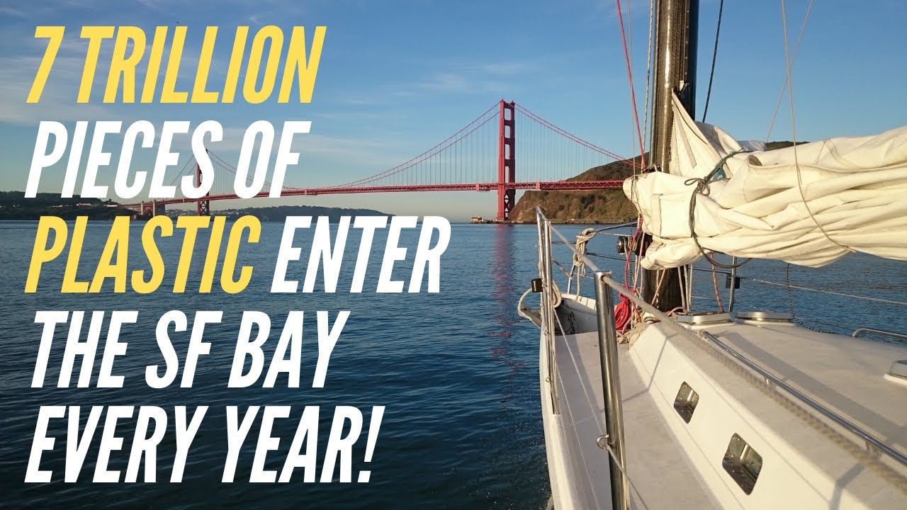 7 Trillion Pieces of Plastic Enter the SF Bay Every Year! What can we do about it?