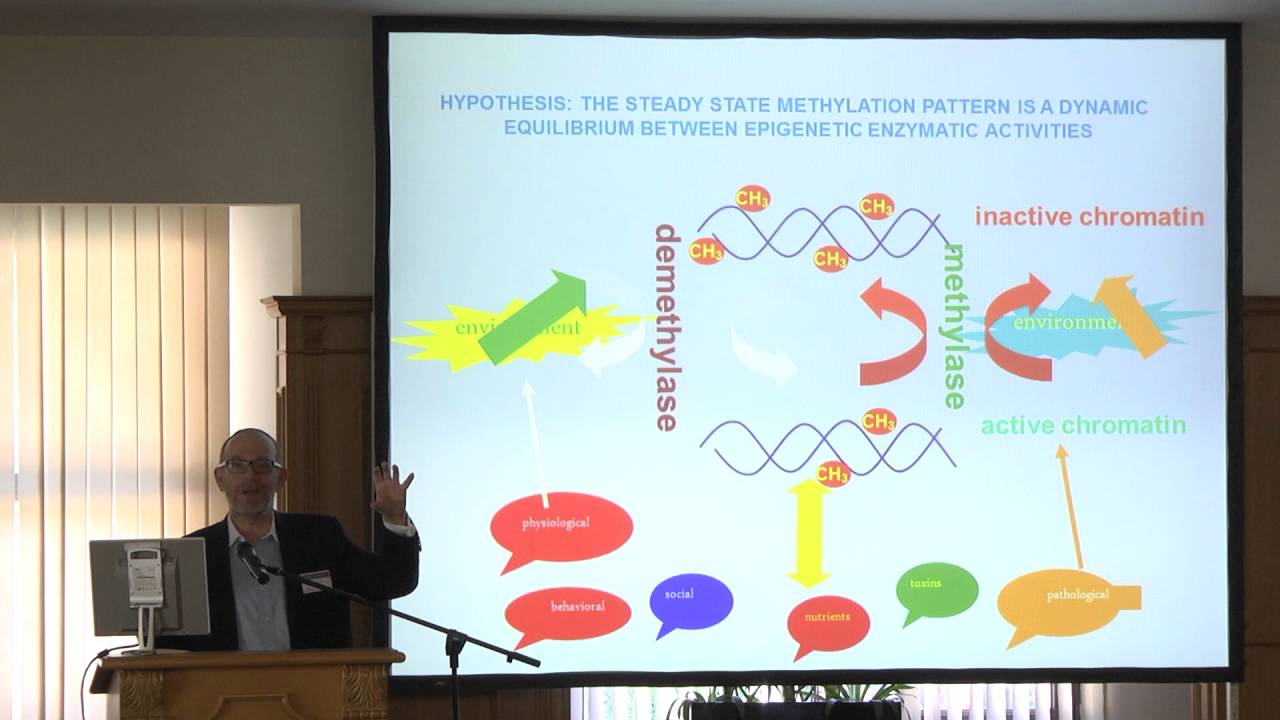 1  Moshe Szyf, McGill University, Canada DNA methylation mediating between exposure and phenotype; t