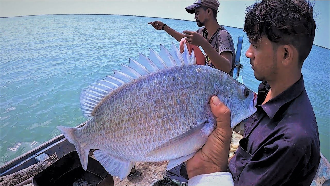 Mangroves Fishing Pityani Dambri | From Ibrahim Hedri Karachi