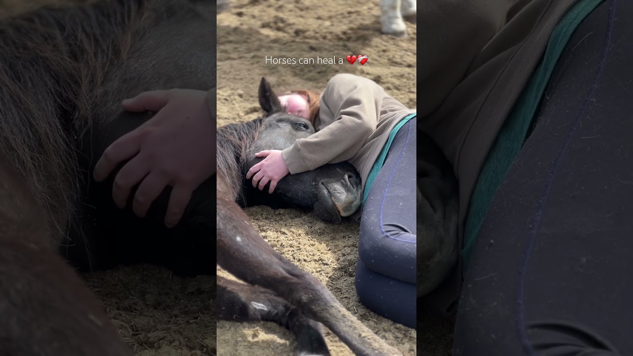 My heart horse knows how to heal my broken heart. #hearthorse #horses #horselovers #equinetherapy