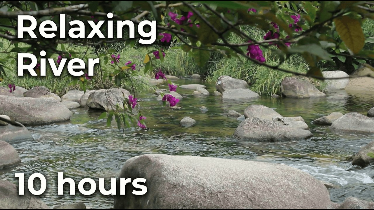 10 Hours of Relaxing River | Study, Sleep, Focus, Relax, Meditate | Deep Rest