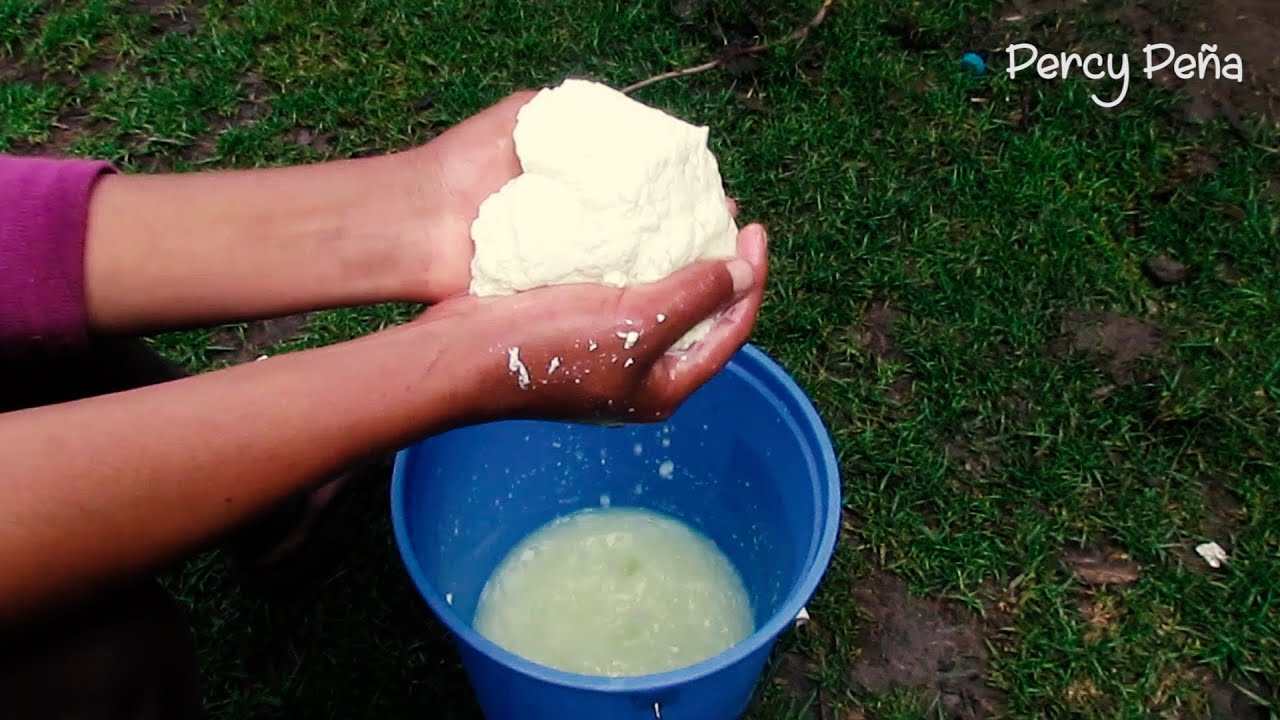 QUESO FRESCO CASERO DE LECHE DE VACA CON CUAJO - 2020