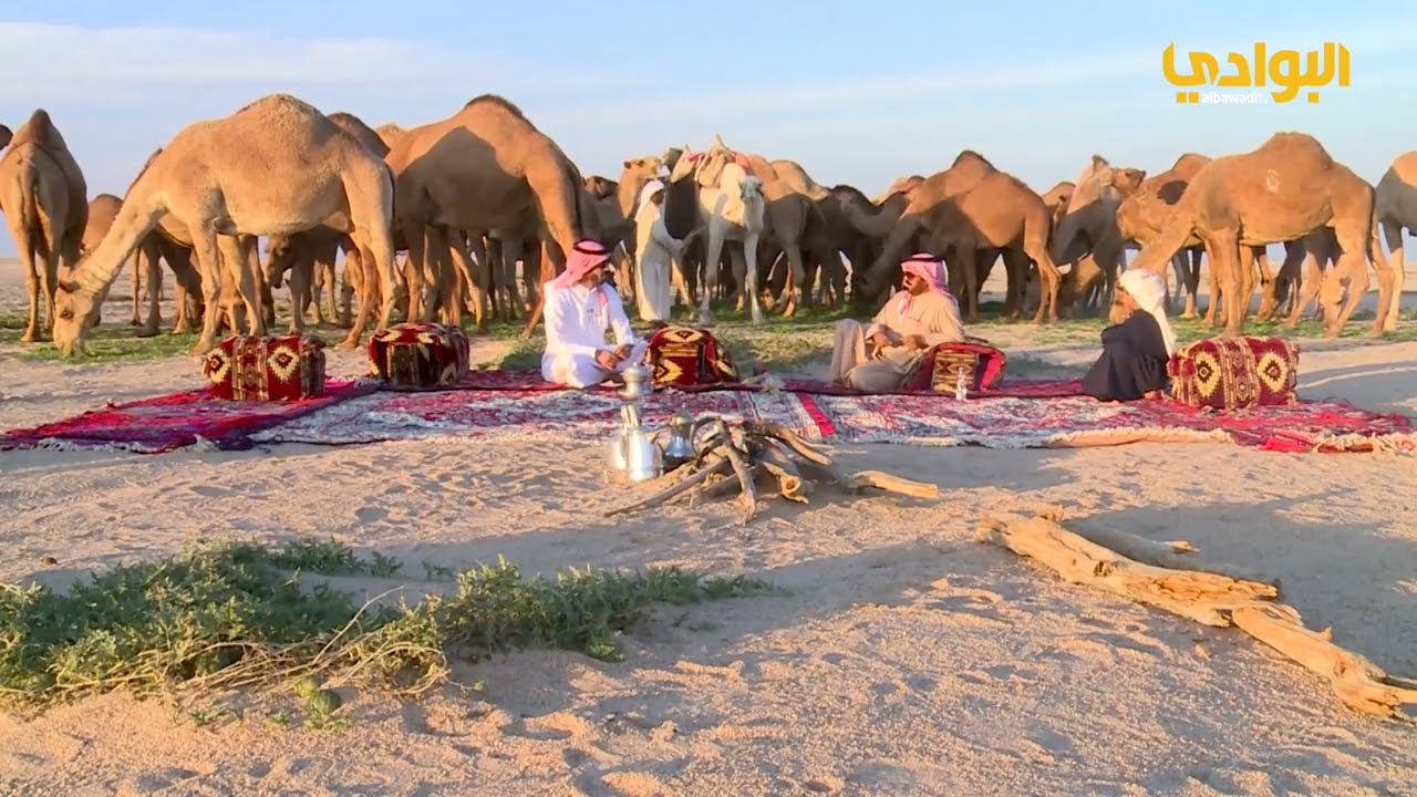 الحلقة الثامنة عشرة | الابل واهلها | ضيوف الحلقة هادي بن فلاح الحجرف و هادي بن فلاح
