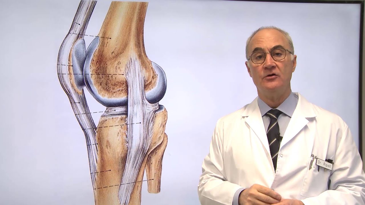 12 Lesión del Ligamento Lateral Interno