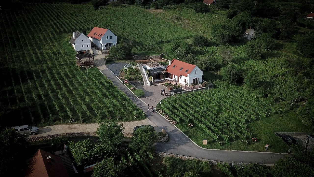 Bencze Családi Birtok - Szent György-hegy