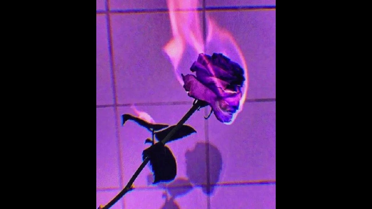(Free For Profit) Veigh x G.A x Wiu Type Beat 