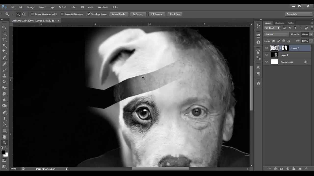 Combining Human Faces With Animal Faces