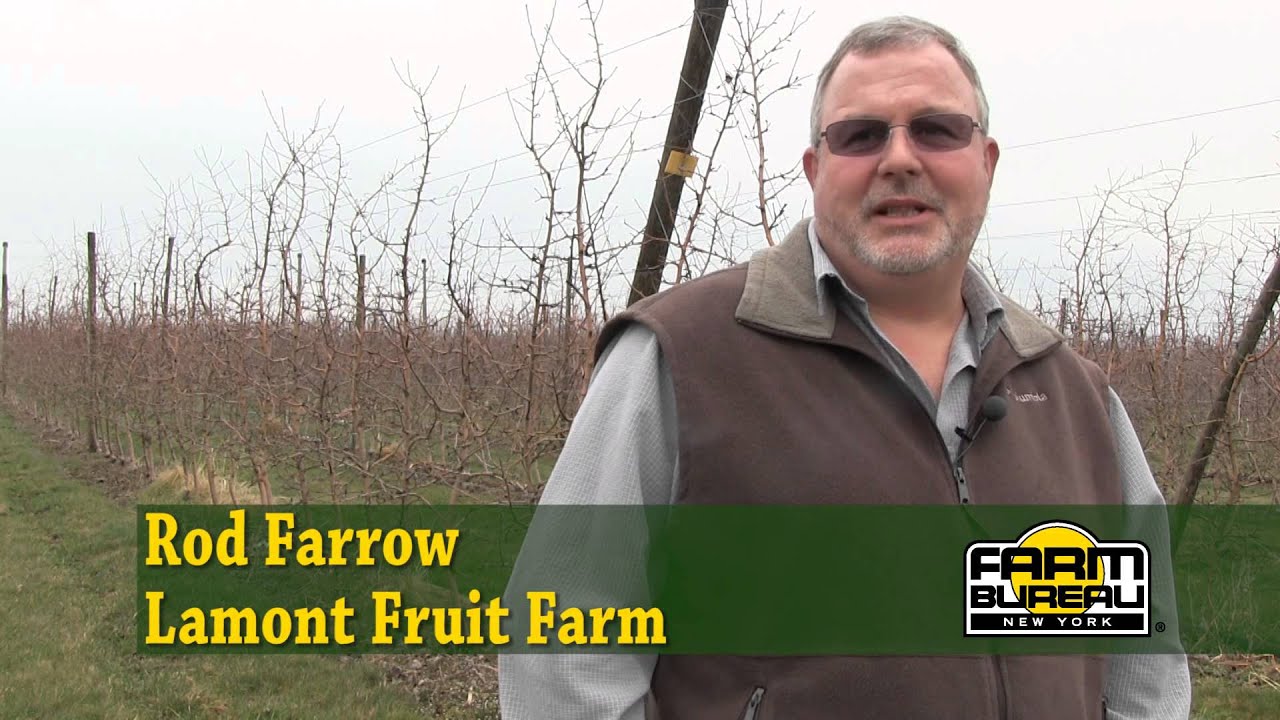 Immigration Reform: Our Farms and Food Depend on It.