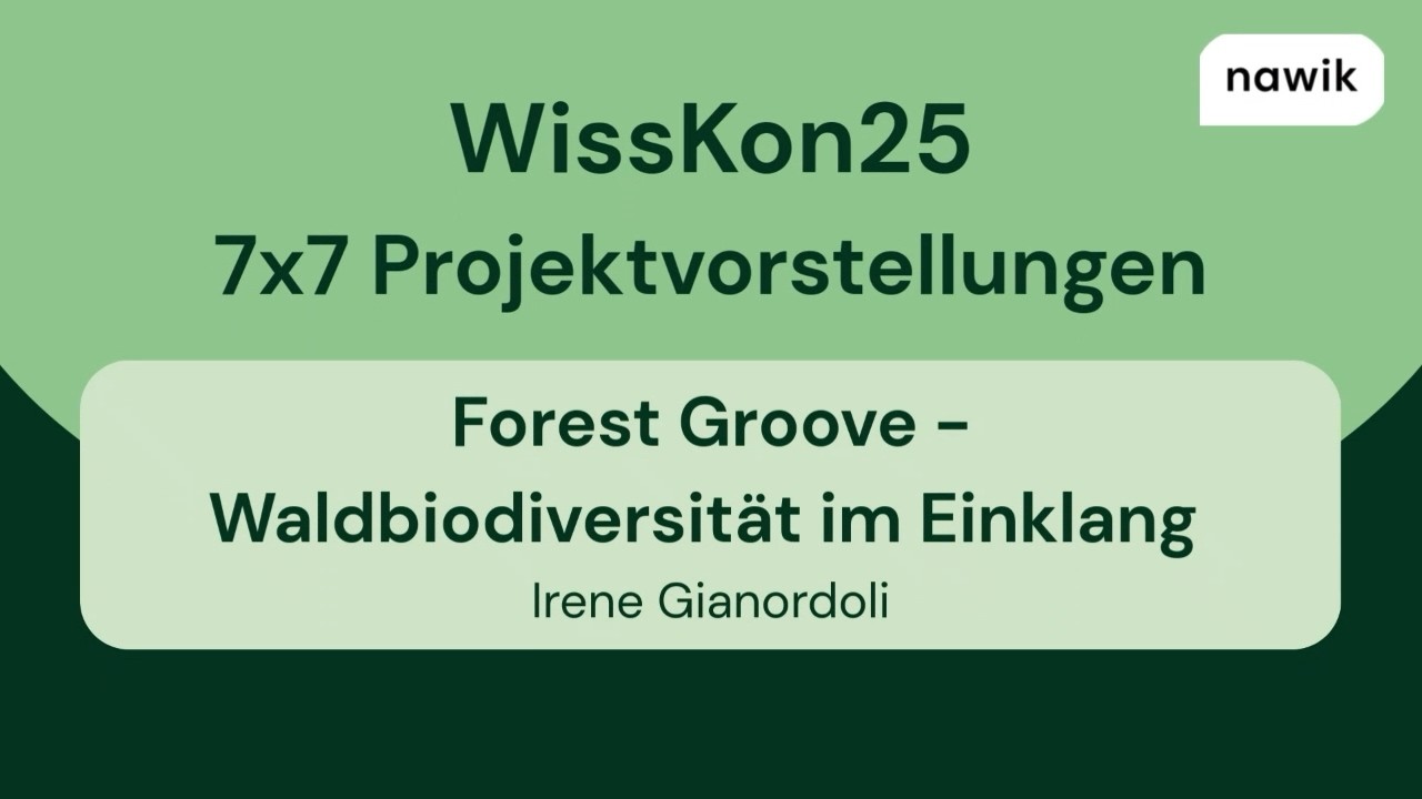 WissKon25: Forest Groove (7x7)