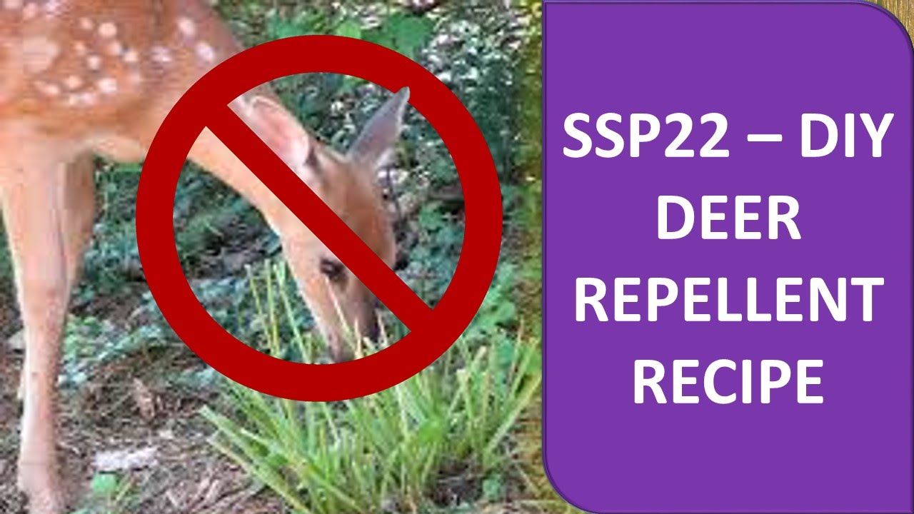 DIY Deer Repellent Recipe - SSP22