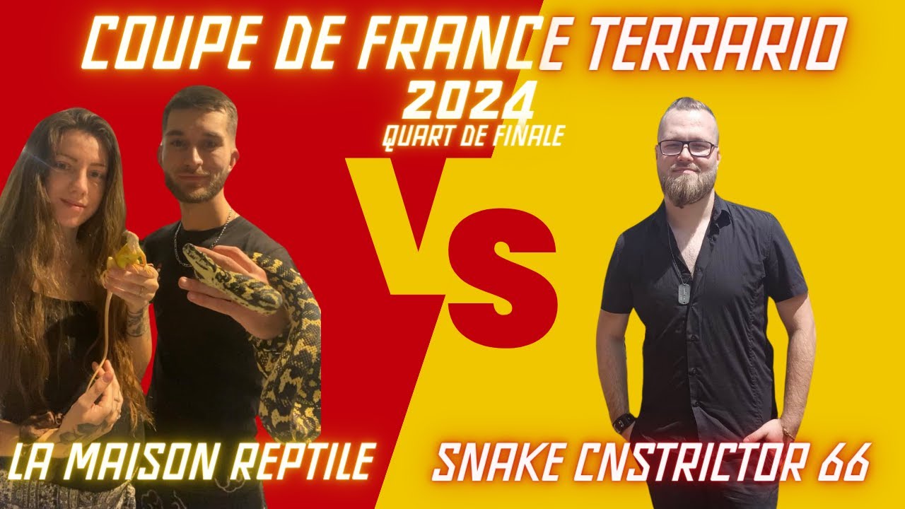 🇫🇷 quart de finale #4 : LA MAISON REPTILE VS SNAKE CONSTRICTOR 66 La COUPE DE FRANCE TERRARIO 🇫🇷
