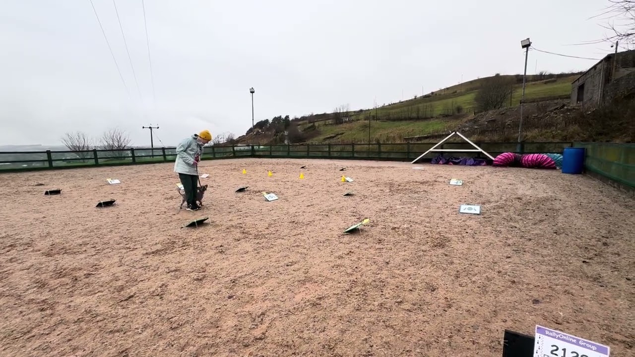 Olive & Suzanne Rally Level 1 & Bonus Round