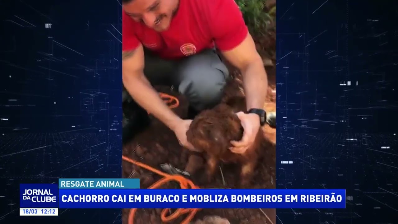 Cachorro cai em buraco e mobiliza bombeiros em Ribeirão - Jornal da Clube (18/03/26)
