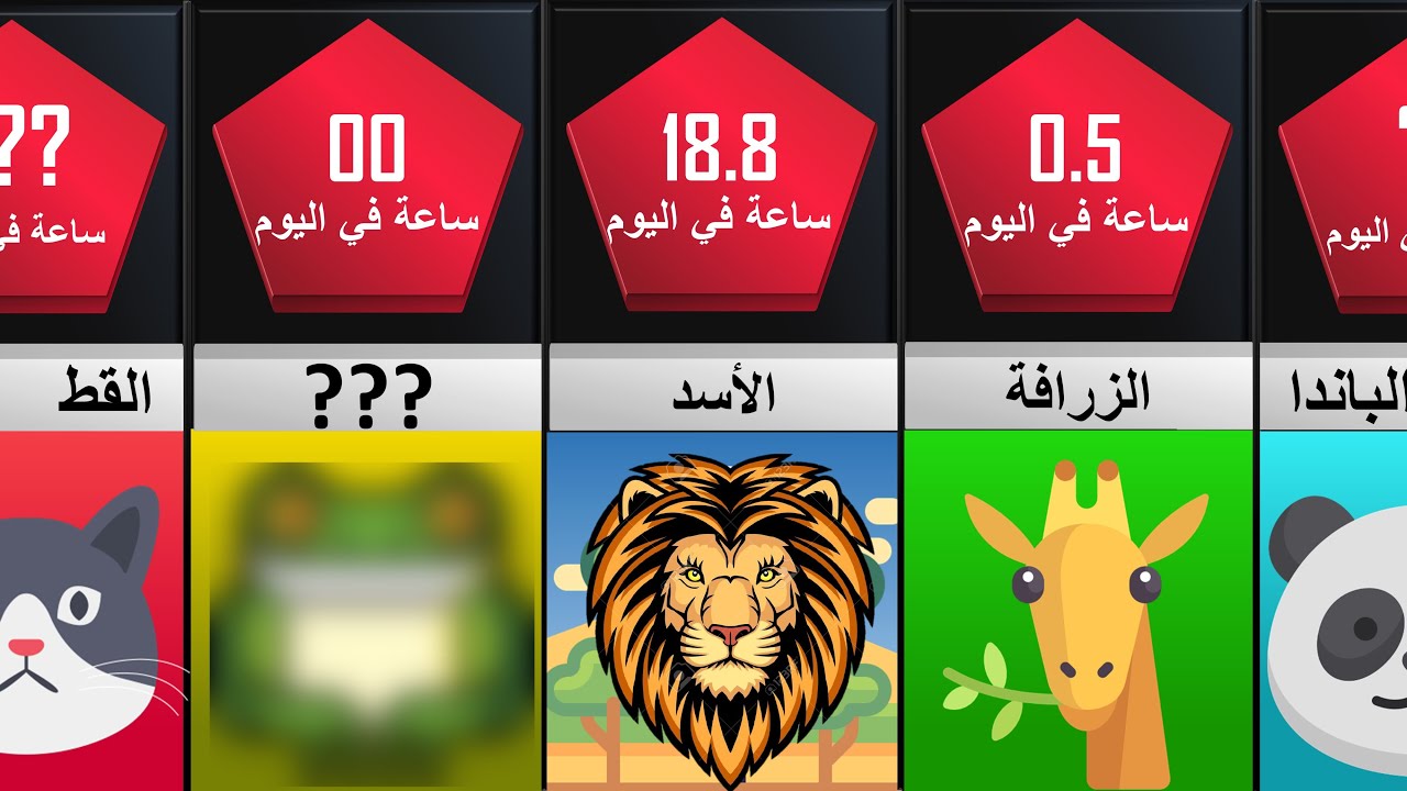 ترتيب الحيوانات حسب ساعات النوم (حيوانات لا تنام و أخرى لا تستيقظ)