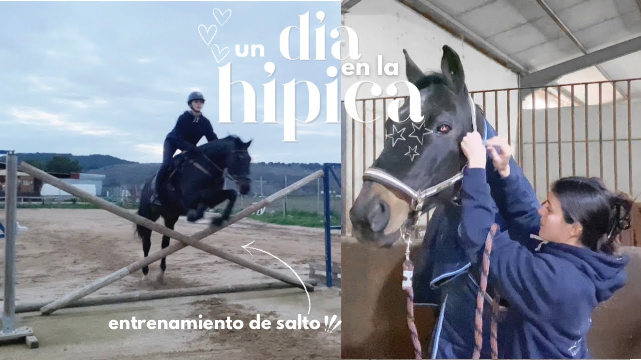 Entrenamiento de salto con David | Un día en la hípica 🐎✨