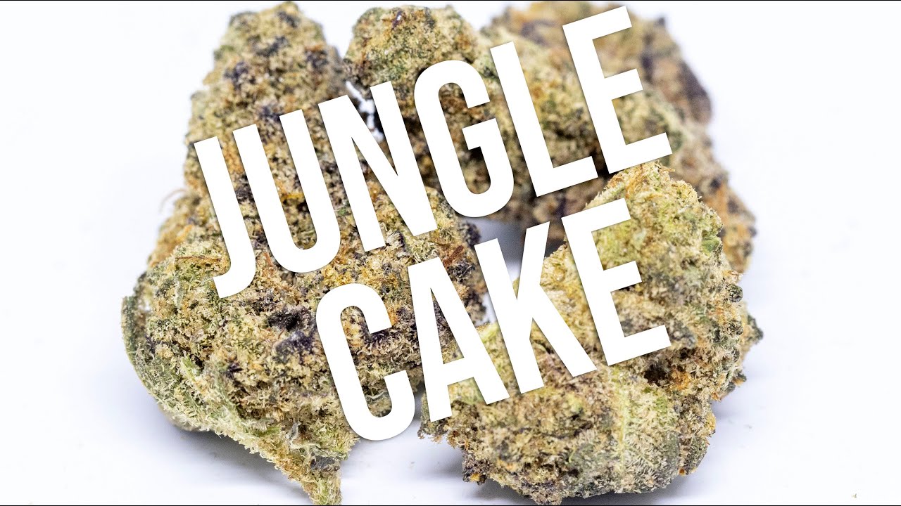 Jungle Cake