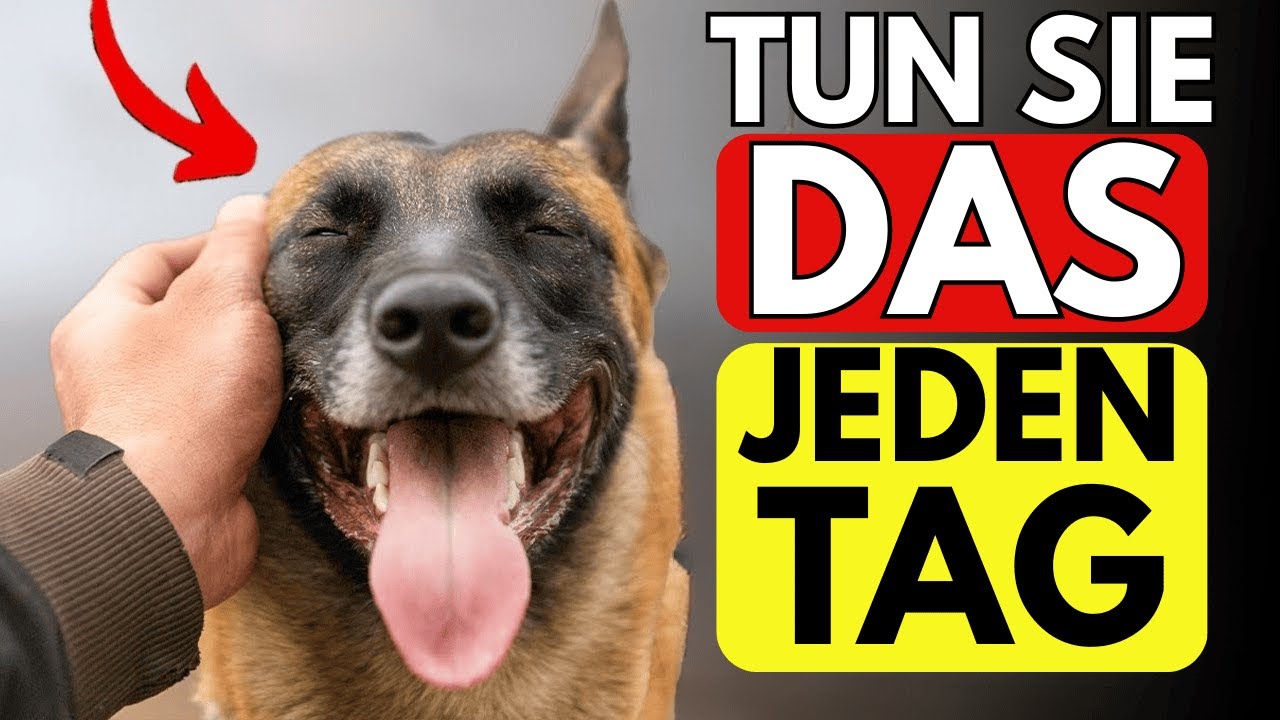 VERÄNDERN SIE DAS LEBEN IHRES HUNDES mit Hilfe dieser 10 geheimen Tipps