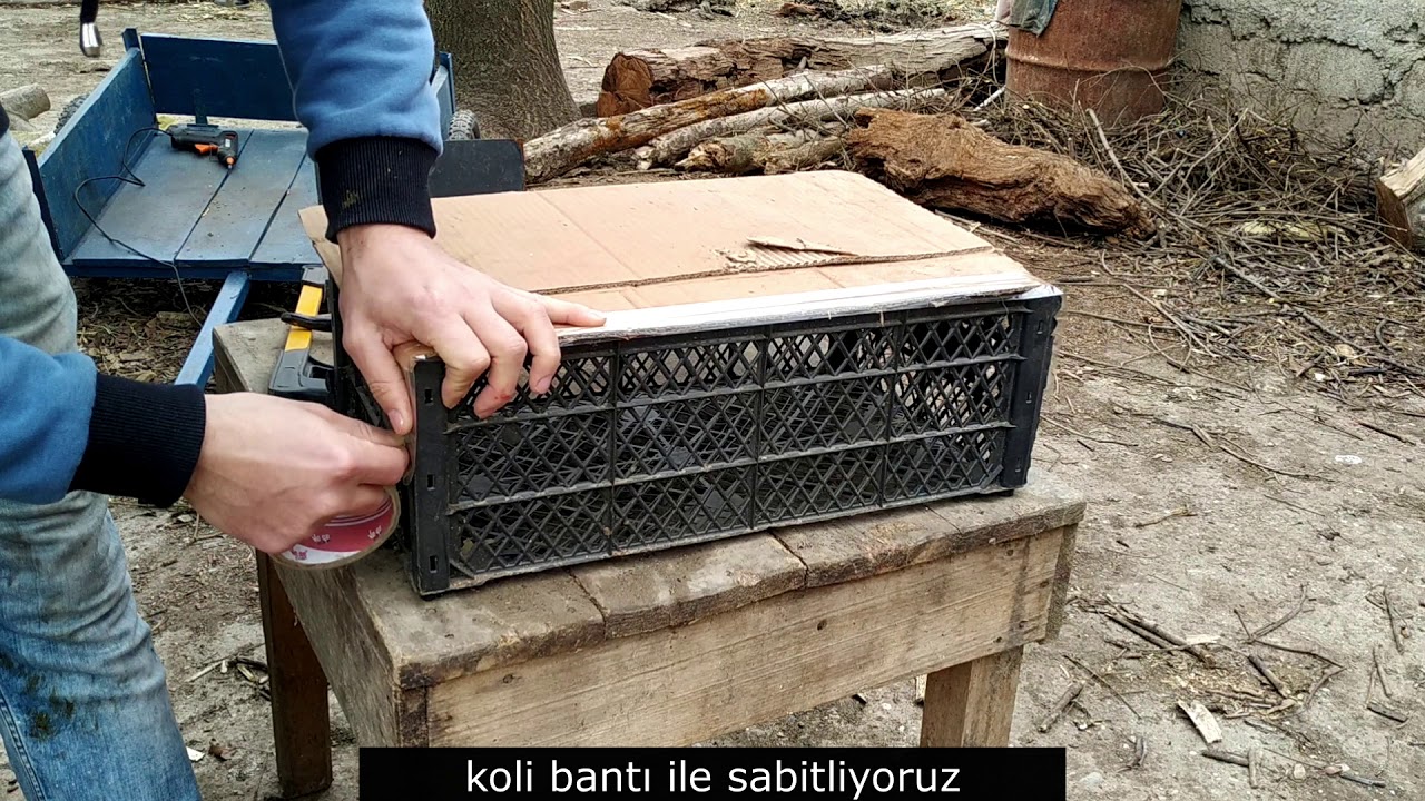 Sebze kasasından tuzak yapımı (bülbül ,saka, seçe, vb) her türlü hayvanı yakalaya bilirsiniz