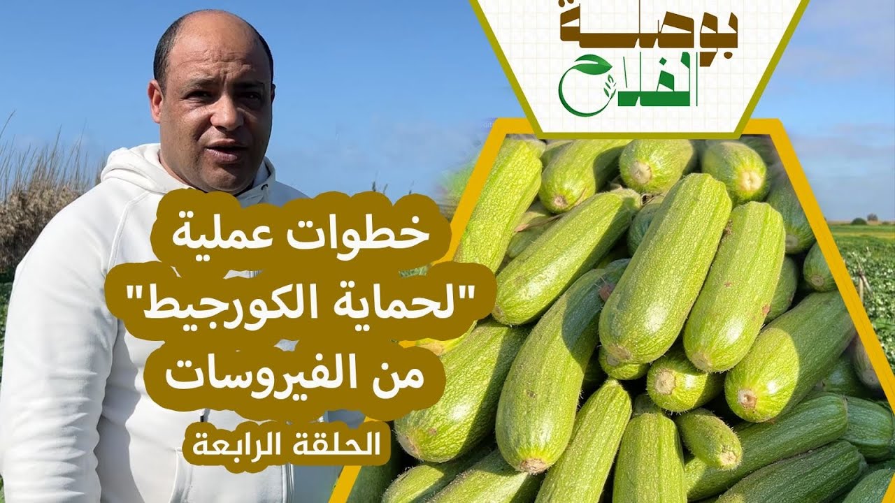 بوصلة الفلاح(ح4) | من 