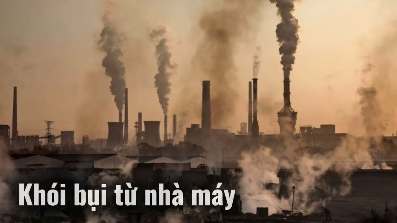 Video Art Mĩ thuật 9