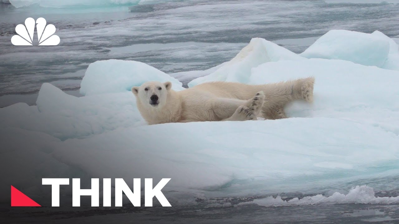Are All Endangered Species Worth Saving? | Think | NBC News