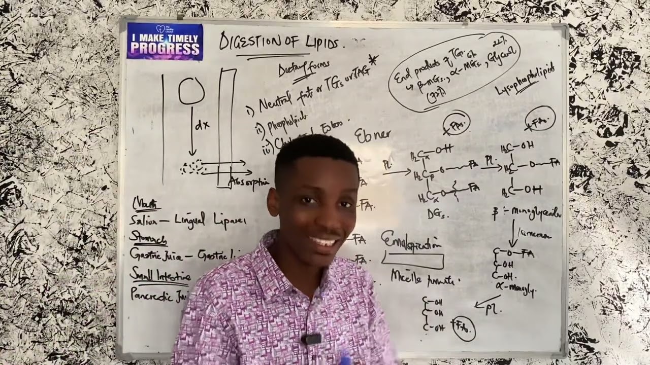 Digestion of Lipids Made Very Easy: You CAN’T watch this and NOT understand.