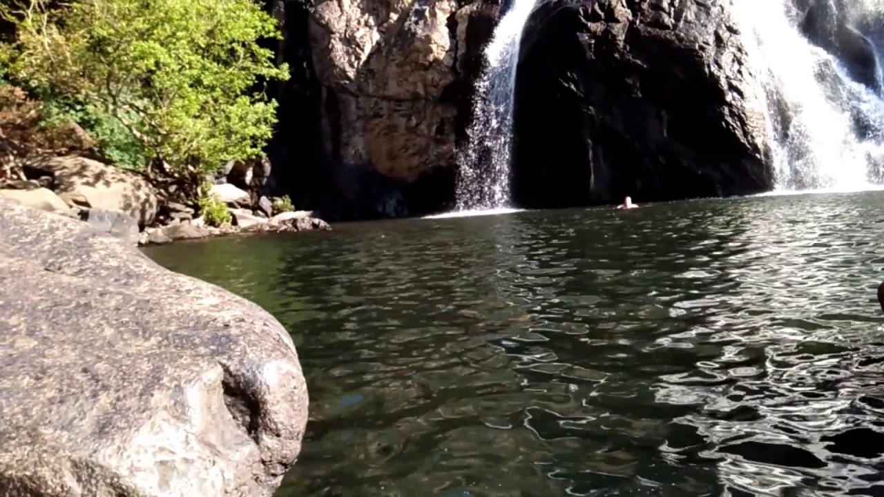 Natural Foot Spa by Fish | Dudhsagar waterfalls Goa, India